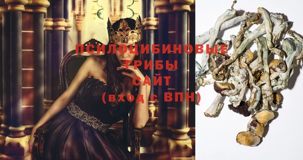 jwh Ладушкин
