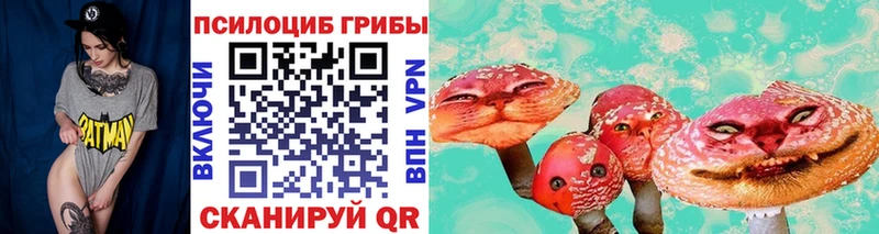 Галлюциногенные грибы GOLDEN TEACHER  наркотики  Терек 